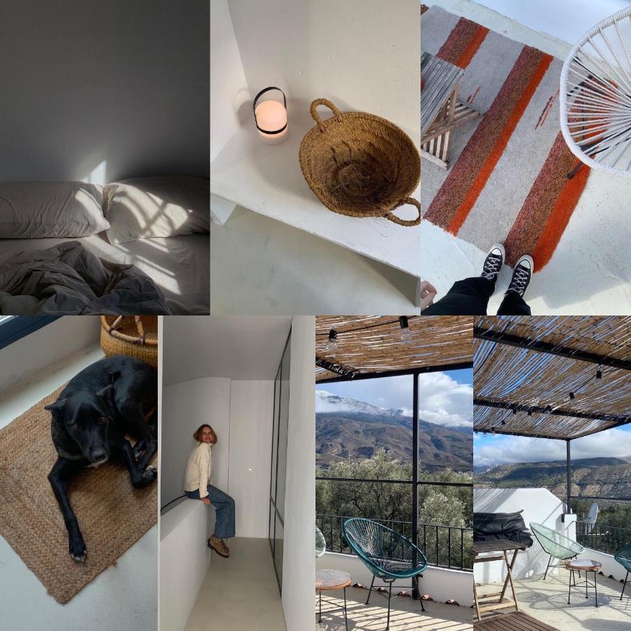 Casa Limon Bed and Breakfast Pinos del Valle Exteriör bild